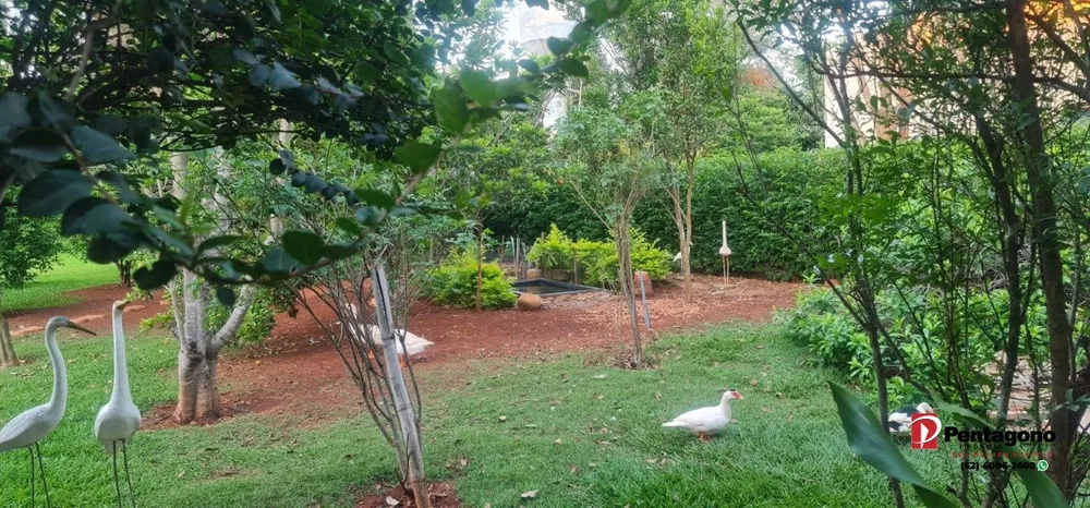 Chácara, 3 quartos, 5000 m² - Foto 4