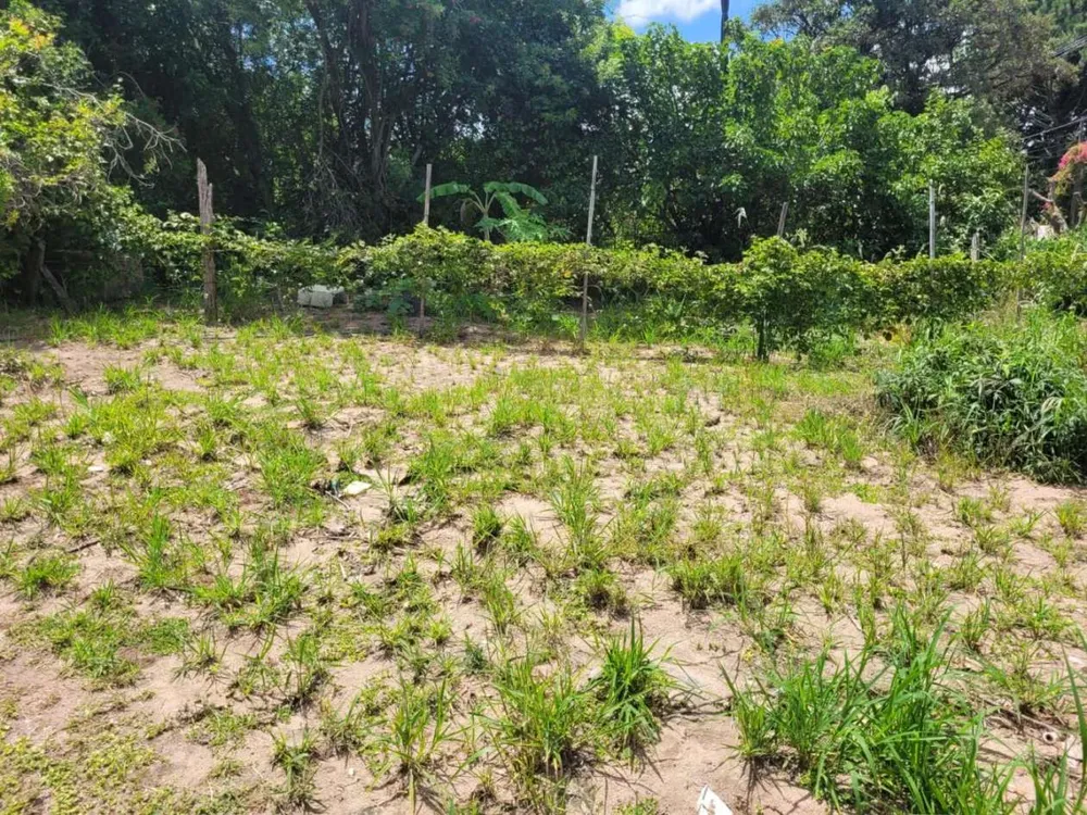 Terreno, 2460 m² - Foto 3