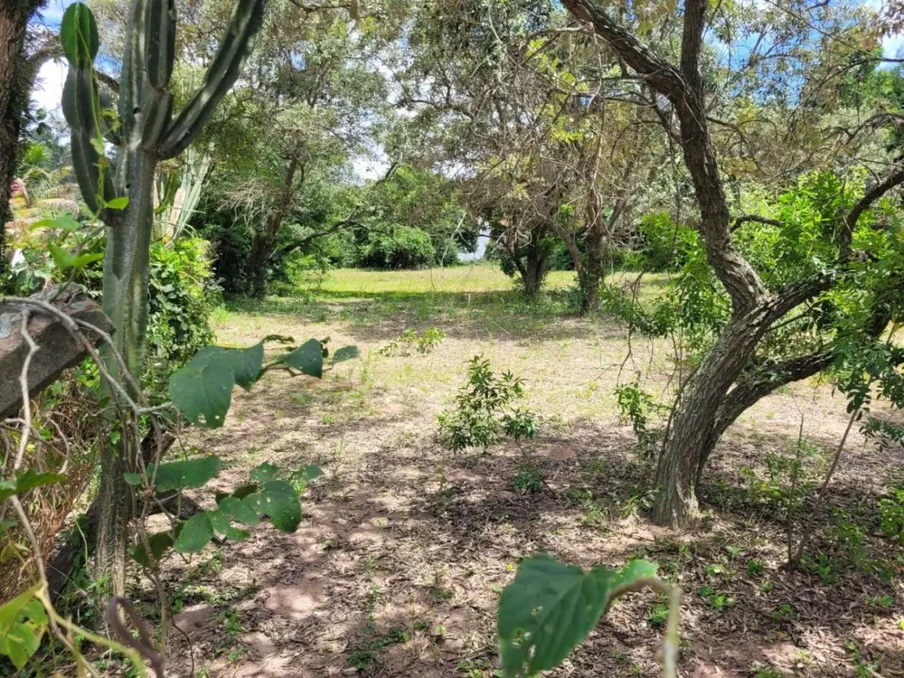 Terreno, 2460 m² - Foto 4