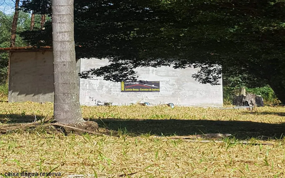 Sítio - Foto 4