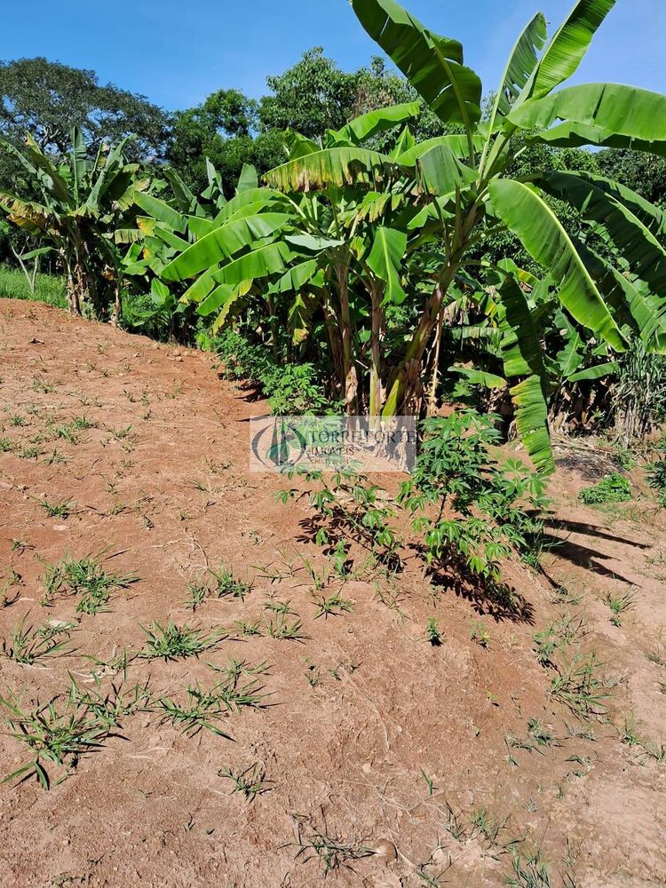 Casa à venda com 2 quartos, 160m² - Foto 5