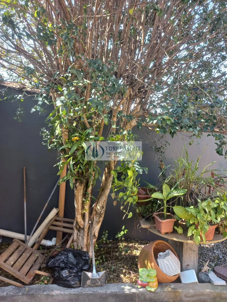 Casa, 3 quartos, 300 m² - Foto 5
