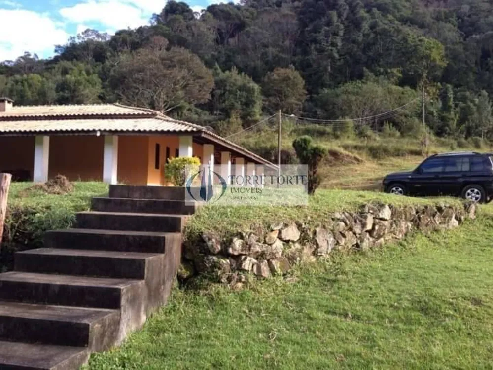 Sítio, 4 quartos, 73 hectares - Foto 4