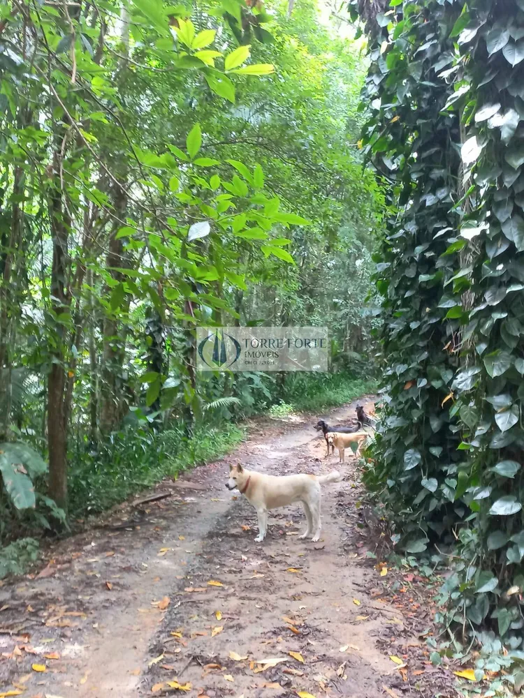 Chácara, 3 quartos, 1 hectares - Foto 2