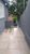 Casa, 3 quartos, 400 m² - Foto 2