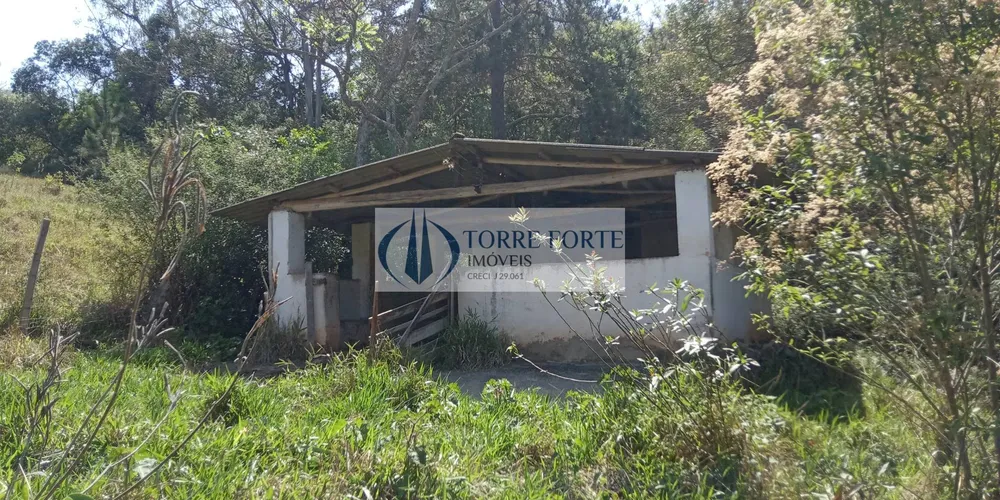 Terreno, 7 hectares - Foto 7