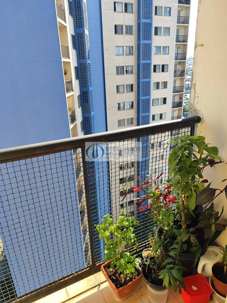 Apartamento, 3 quartos, 78 m² - Foto 3
