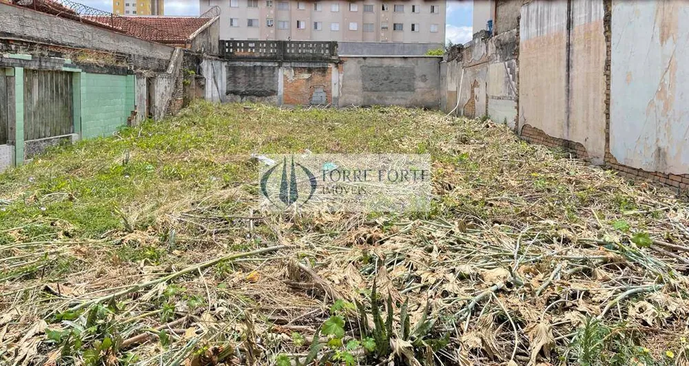 Terreno, 240 m² - Foto 3