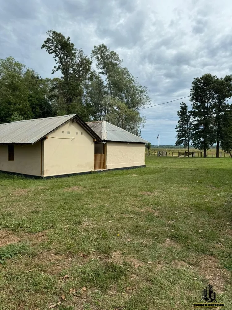 Fazenda, 800 hectares - Foto 1
