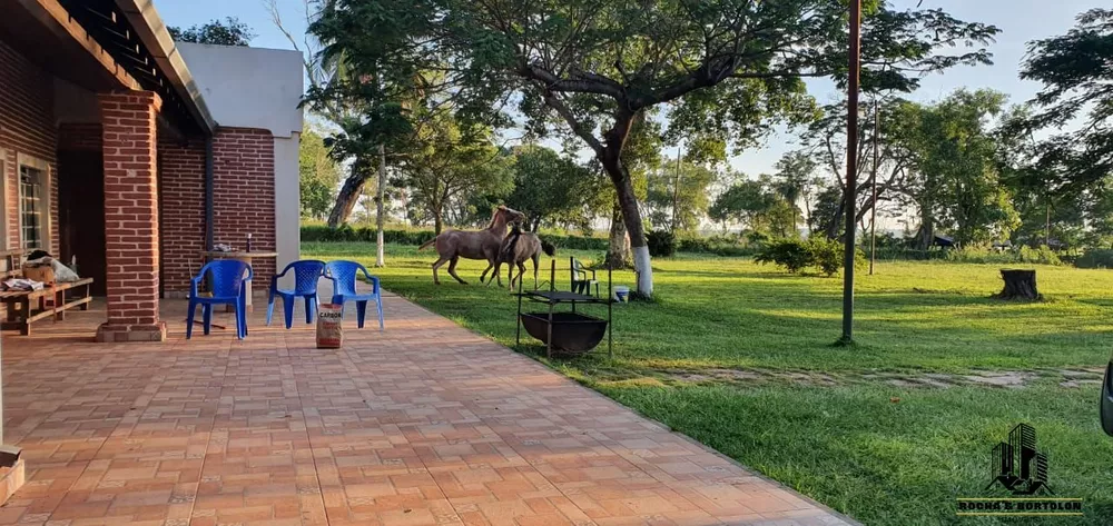 Fazenda, 800 hectares - Foto 1