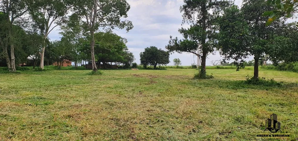 Fazenda, 800 hectares - Foto 2