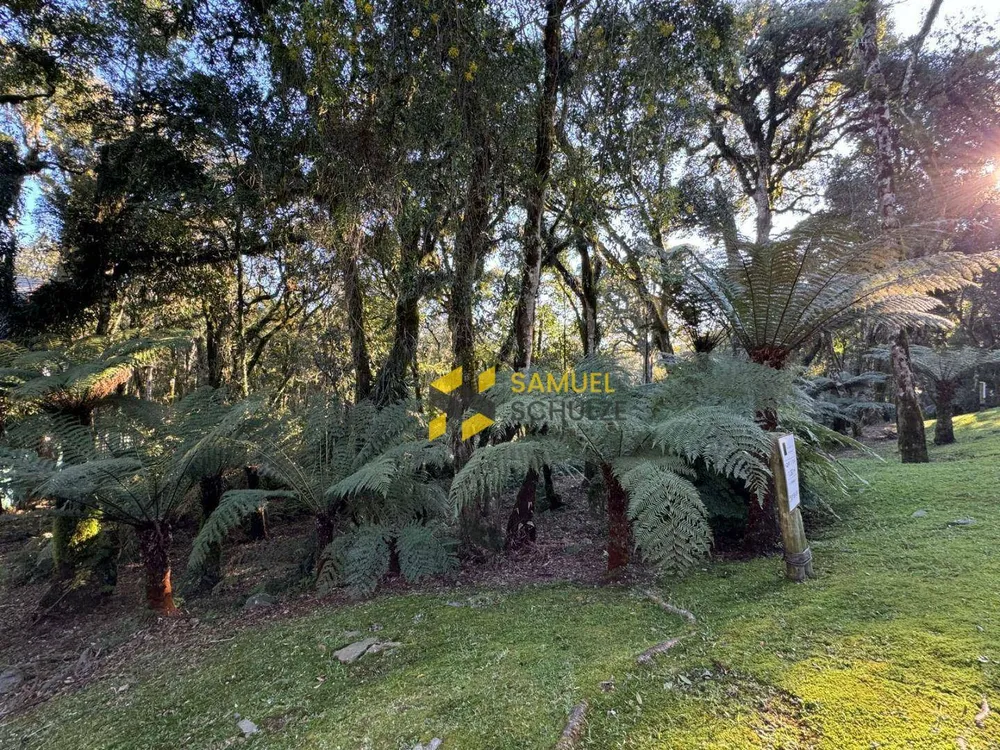 Loteamento e Condomínio, 1093 m² - Foto 4