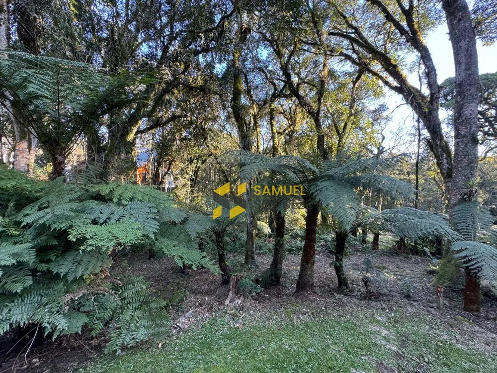 Loteamento e Condomínio, 1093 m² - Foto 2
