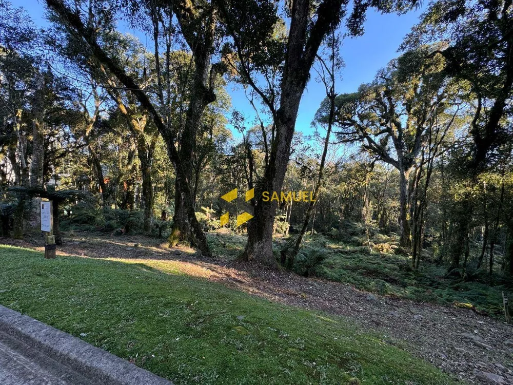 Loteamento e Condomínio à venda, 1096M2 - Foto 1