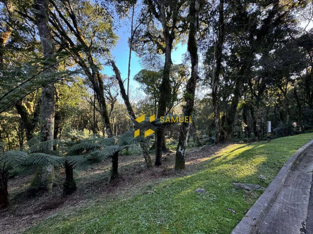 Loteamento e Condomínio à venda, 1096M2 - Foto 6