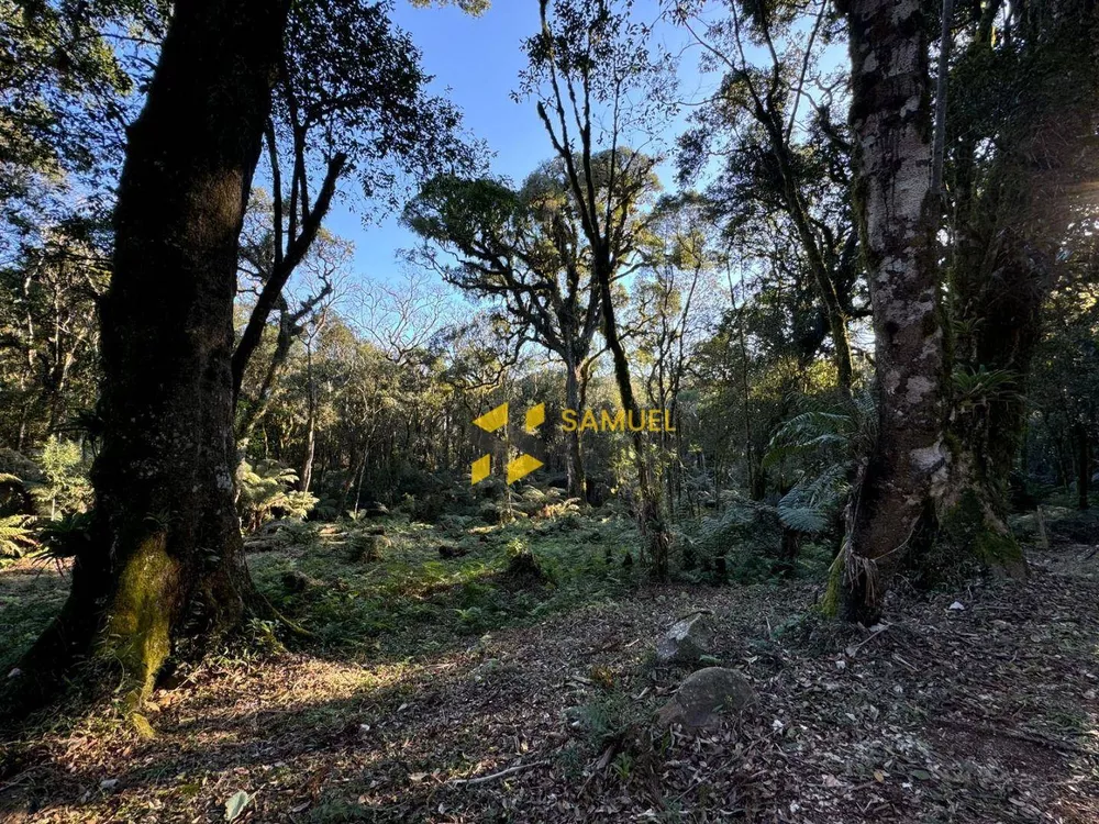 Loteamento e Condomínio à venda, 1096M2 - Foto 4