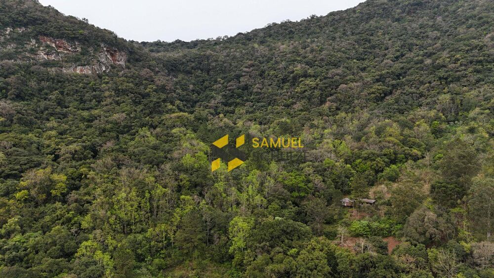 Terreno, 42 hectares - Foto 3