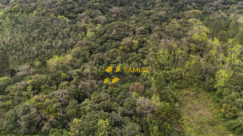 Terreno, 42 hectares - Foto 2