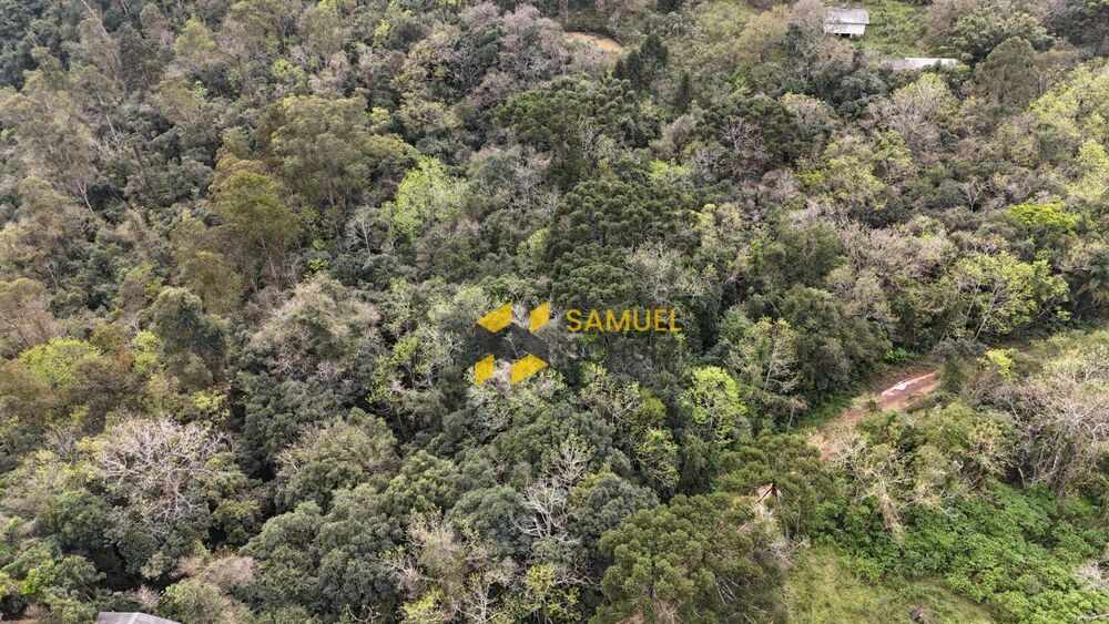 Terreno, 42 hectares - Foto 1