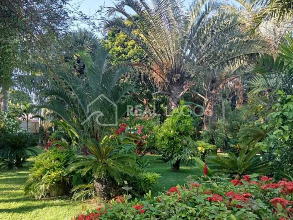 Casa, 5 quartos, 618 m² - Foto 19