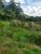 Sítio, 4 quartos, 2 hectares - Foto 1