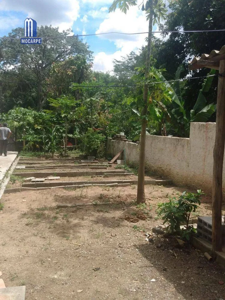 Sítio, 4 quartos, 2 hectares - Foto 8