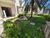 Apartamento, 2 quartos, 59 m² - Foto 19