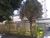 Apartamento, 2 quartos, 66 m² - Foto 3