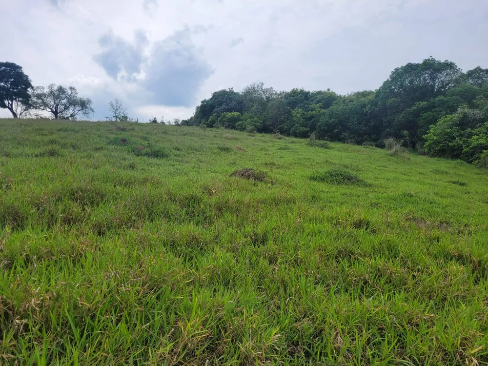 Terreno, 6 hectares - Foto 8
