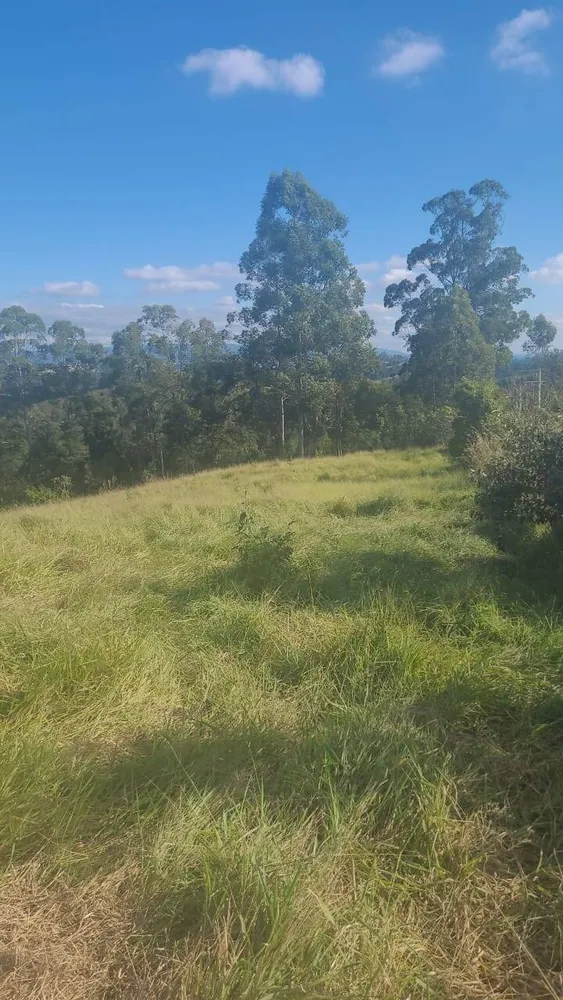 Terreno, 6 hectares - Foto 7