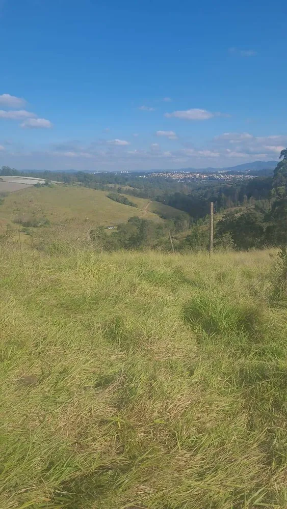 Terreno, 6 hectares - Foto 4