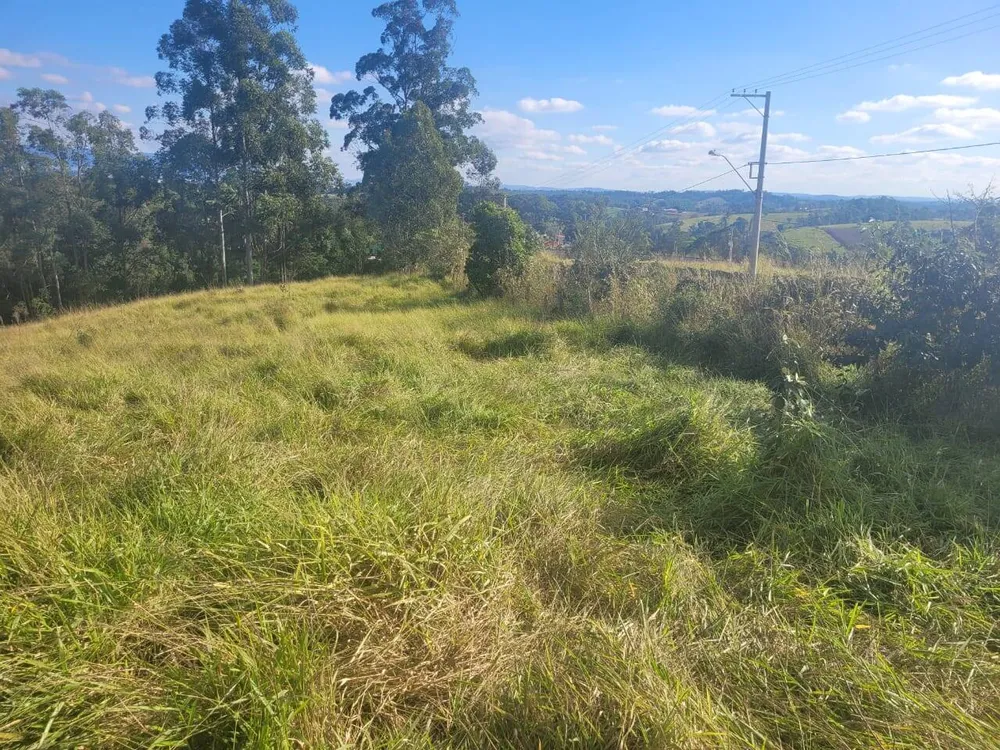 Terreno, 6 hectares - Foto 6