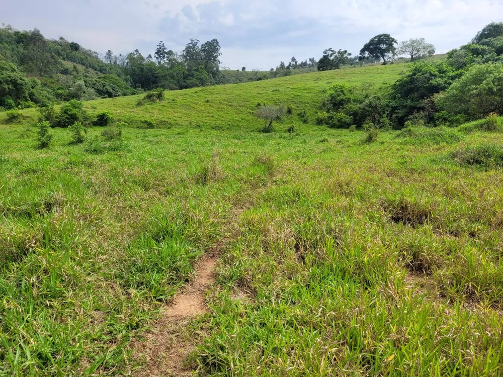 Terreno, 6 hectares - Foto 9