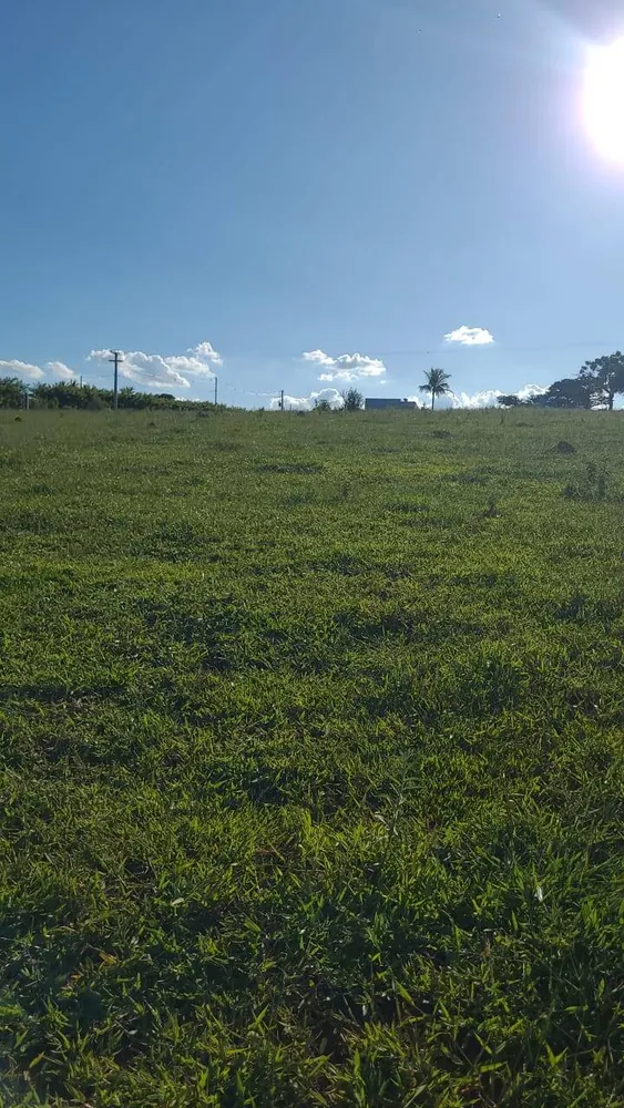 Terreno, 6 hectares - Foto 1