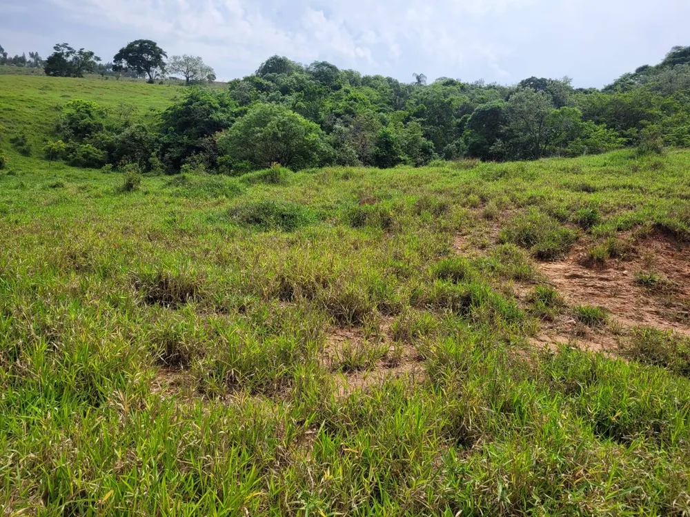 Terreno, 6 hectares - Foto 10