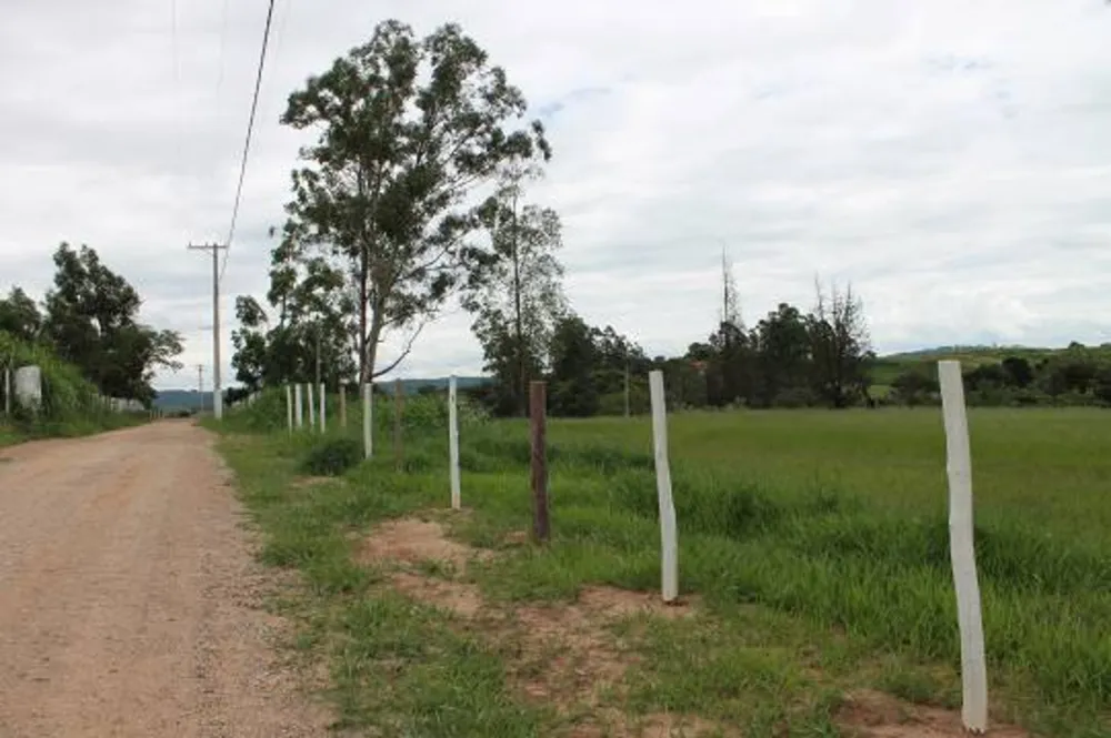 Terreno, 9 hectares - Foto 7