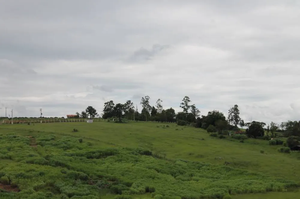 Terreno, 9 hectares - Foto 3