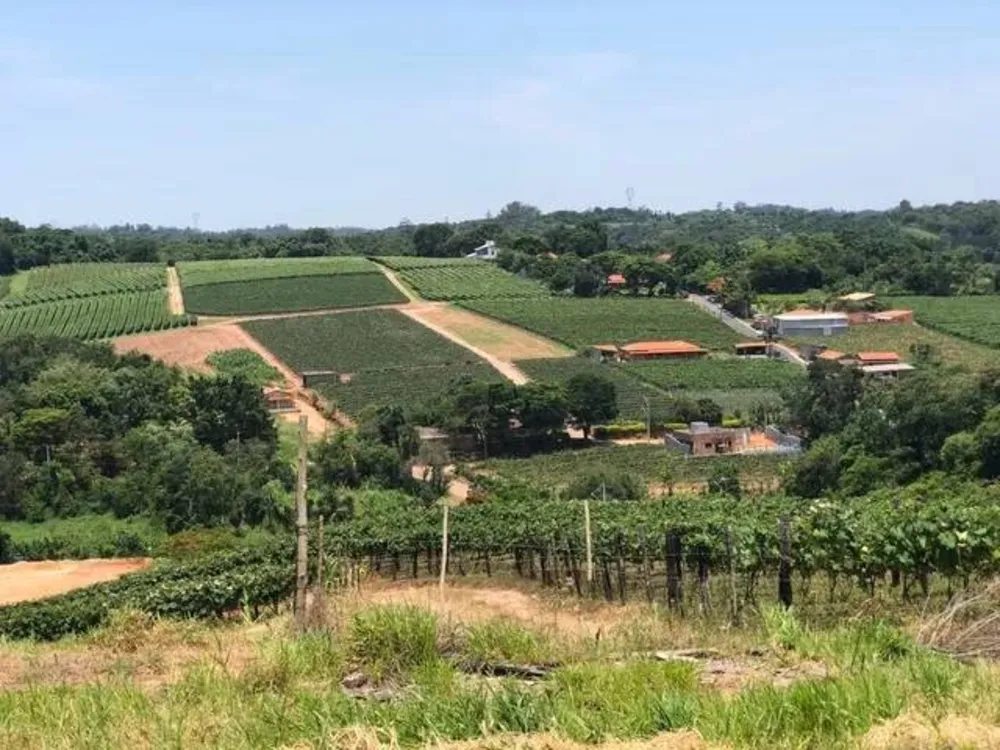 Terreno, 4 hectares - Foto 2
