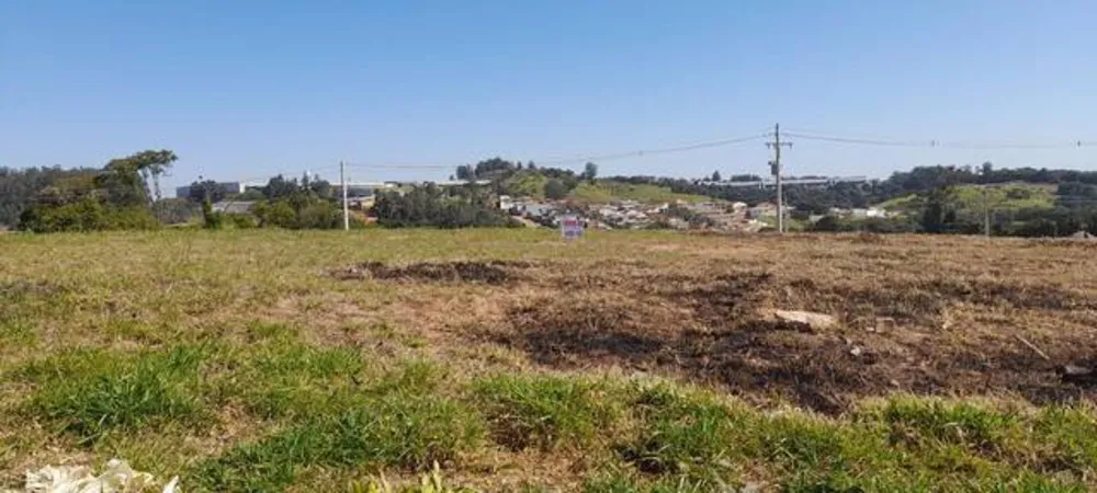 Terreno, 250 m² - Foto 2