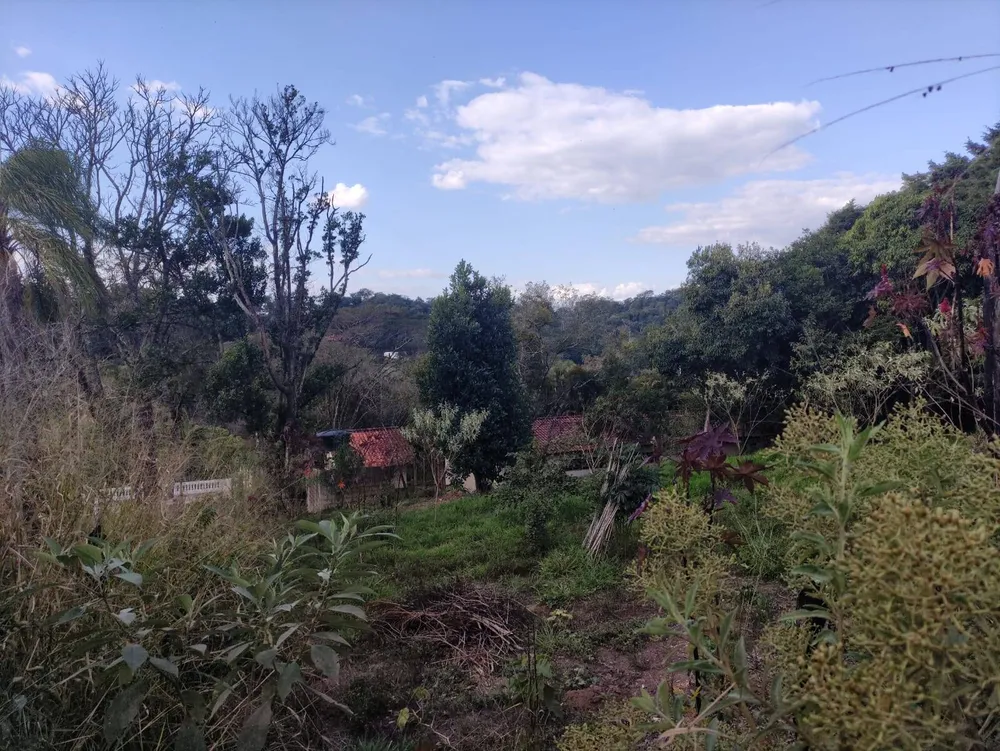 Chácara, 4 quartos, 6440 m² - Foto 7