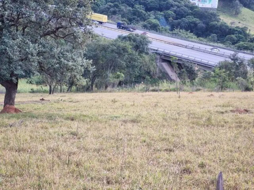 Terreno, 2 hectares - Foto 6