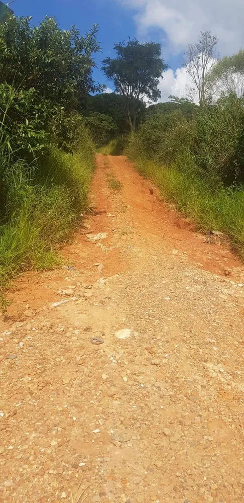 Terreno, 2 hectares - Foto 3