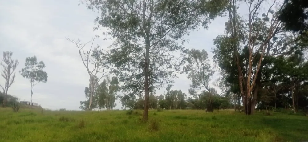 Terreno, 5 hectares - Foto 7