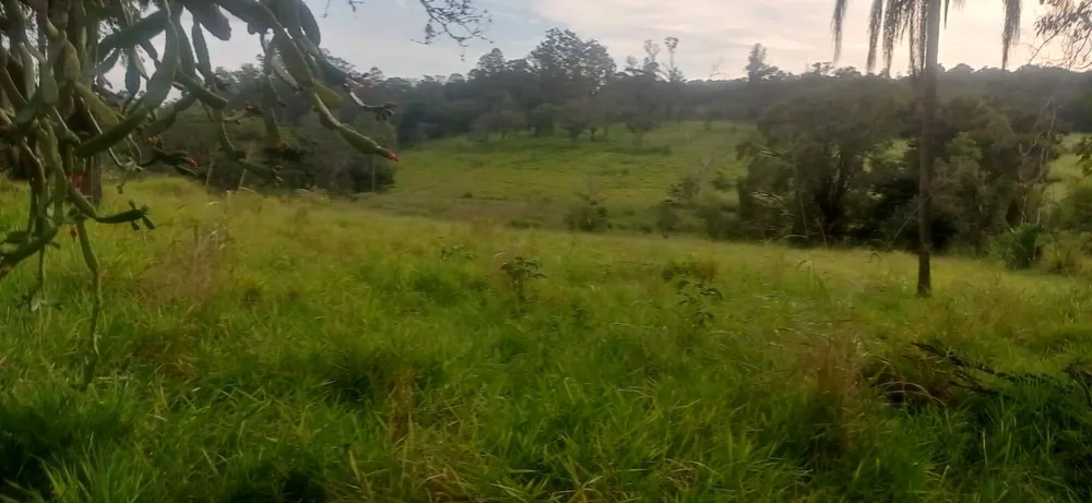 Terreno, 5 hectares - Foto 6
