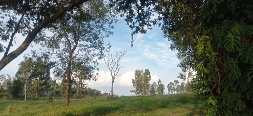 Terreno, 5 hectares - Foto 1