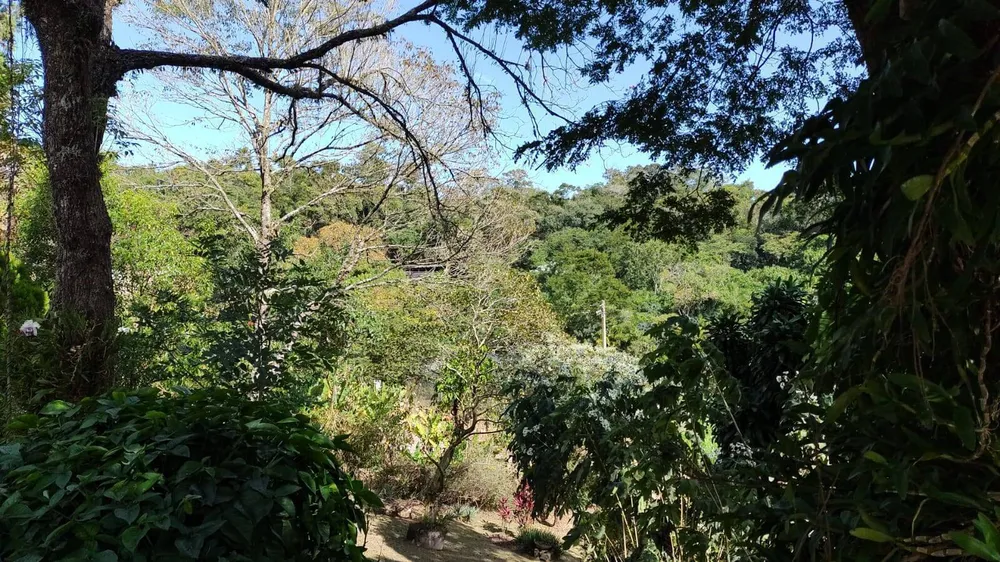 Chácara, 4 quartos, 4000 m² - Foto 5