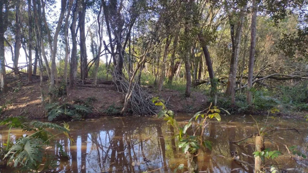 Terreno, 2 hectares - Foto 3