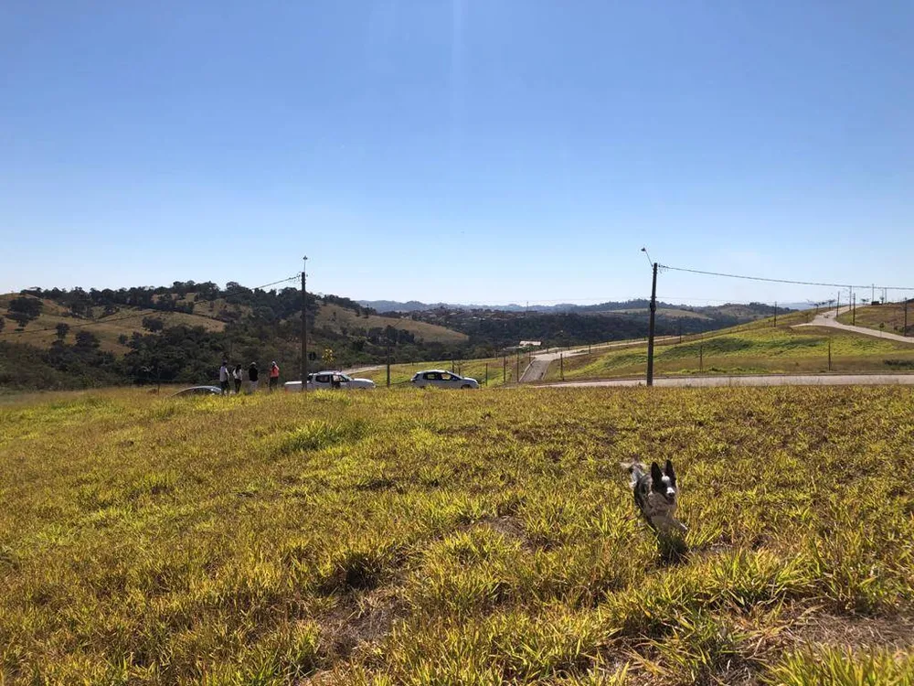 Terreno, 800 m² - Foto 5