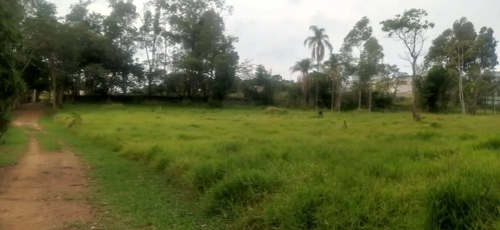 Terreno, 3 hectares - Foto 9