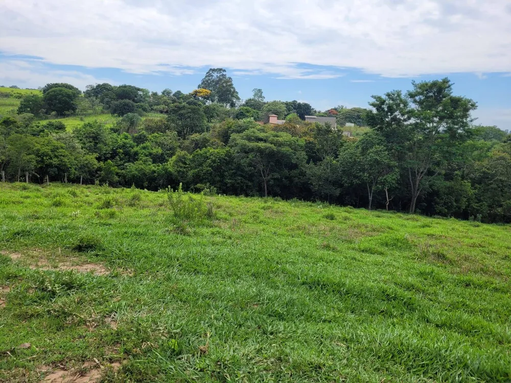 Terreno, 2 hectares - Foto 3
